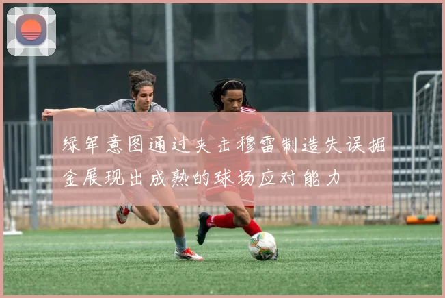 绿军意图通过夹击穆雷制造失误掘金展现出成熟的球场应对能力
