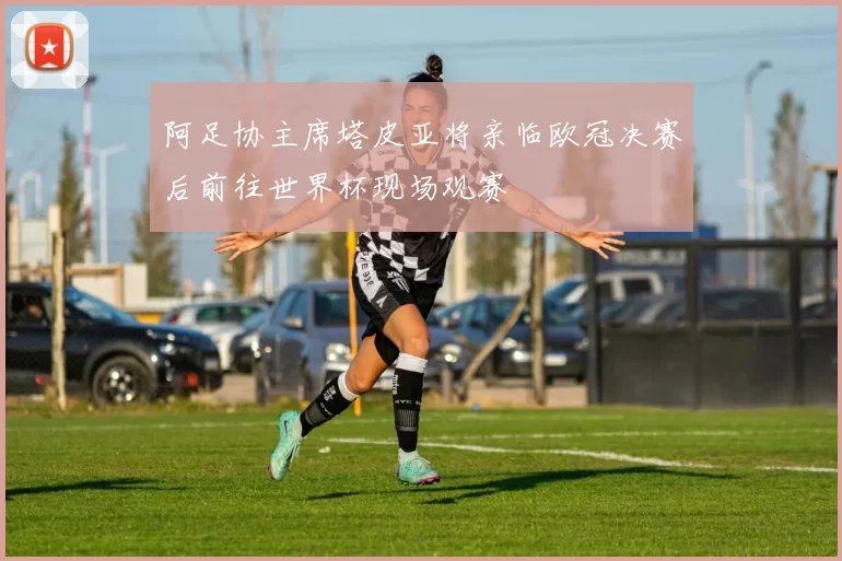 阿足协主席塔皮亚将亲临欧冠决赛后前往世界杯现场观赛